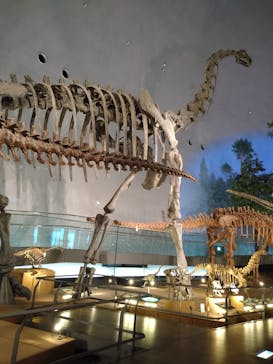 福井県立恐竜博物館に投稿された画像（2023/12/9）