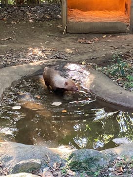 よこはま動物園ズーラシアに投稿された画像（2023/12/9）