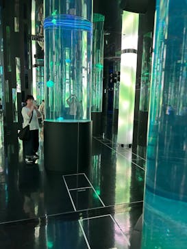 DMMかりゆし水族館に投稿された画像（2023/12/9）