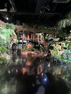 DMMかりゆし水族館に投稿された画像（2023/12/9）