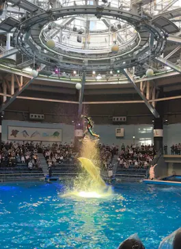 マクセル アクアパーク品川に投稿された画像（2023/12/9）