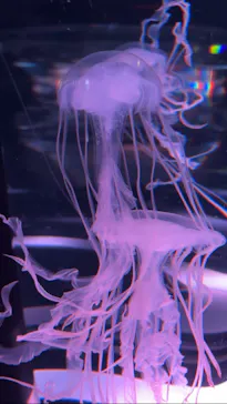 マクセル アクアパーク品川に投稿された画像（2023/12/9）