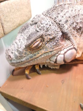 アニタッチみなとみらいに投稿された画像（2023/12/9）