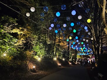 ムーミンバレーパークに投稿された画像（2023/12/9）