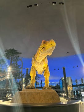 福井県立恐竜博物館に投稿された画像（2023/12/9）
