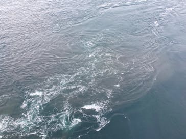 徳島県立 渦の道に投稿された画像（2023/12/9）