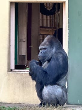 名古屋市東山動植物園に投稿された画像（2023/12/9）