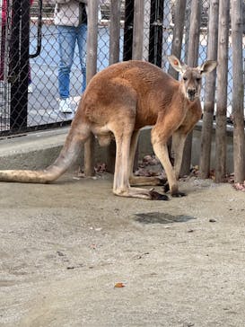 名古屋市東山動植物園に投稿された画像（2023/12/9）