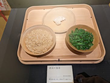 特別展「和食 ～日本の自然、人々の知恵～」に投稿された画像（2023/12/9）