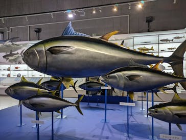 特別展「和食 ～日本の自然、人々の知恵～」に投稿された画像（2023/12/9）