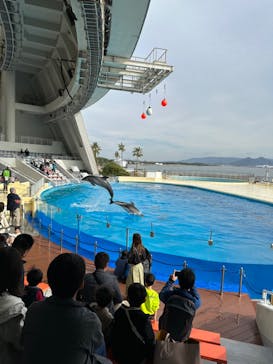マリンワールド海の中道に投稿された画像（2023/12/9）