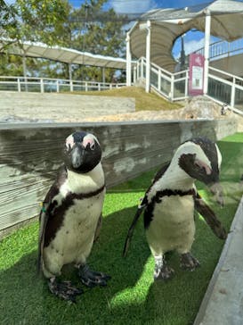 マリンワールド海の中道に投稿された画像（2023/12/9）
