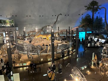 福井県立恐竜博物館に投稿された画像（2023/12/9）