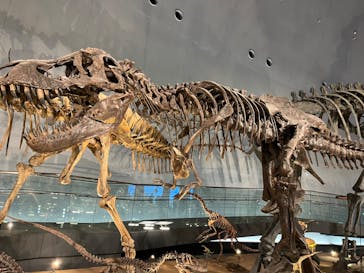 福井県立恐竜博物館に投稿された画像（2023/12/9）