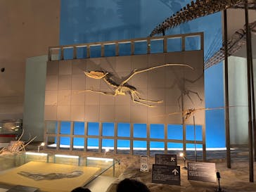 福井県立恐竜博物館に投稿された画像（2023/12/9）
