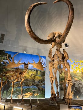 福井県立恐竜博物館に投稿された画像（2023/12/9）