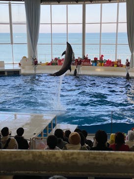 アクアワールド茨城県大洗水族館に投稿された画像（2023/12/9）