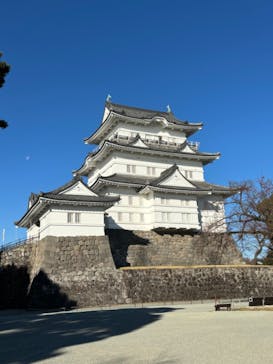 小田原城に投稿された画像（2023/12/9）