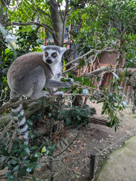 神戸どうぶつ王国に投稿された画像（2023/12/9）