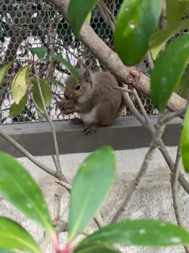 神戸どうぶつ王国に投稿された画像（2023/12/9）