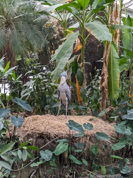 神戸どうぶつ王国に投稿された画像（2023/12/9）