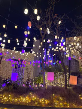 ひらかたパークに投稿された画像（2023/12/9）