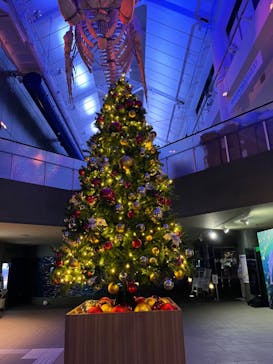 アクアワールド茨城県大洗水族館に投稿された画像（2023/12/9）