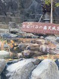伊豆シャボテン動物公園に投稿された画像（2023/12/9）