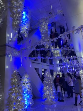 梅田スカイビル・空中庭園展望台に投稿された画像（2023/12/9）