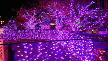 ひらかたパークに投稿された画像（2023/12/9）