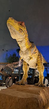 福井県立恐竜博物館に投稿された画像（2023/12/9）