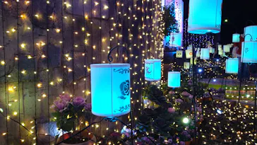 ひらかたパークに投稿された画像（2023/12/9）