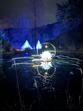 KYOTO ILLUMINATION SYNESTHESIA HILLS るり渓温泉に投稿された画像（2023/12/9）