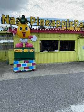 ナゴパイナップルパークに投稿された画像（2023/12/9）