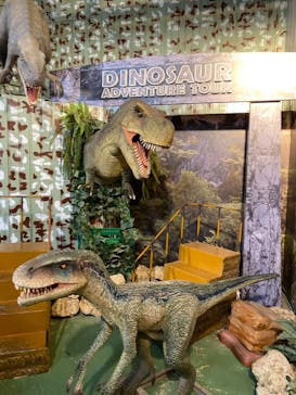 ナゴパイナップルパークに投稿された画像（2023/12/9）