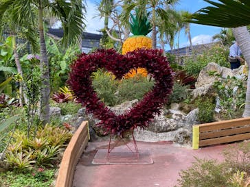 ナゴパイナップルパークに投稿された画像（2023/12/9）