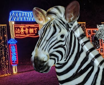 大阪城イルミナージュに投稿された画像（2023/12/9）