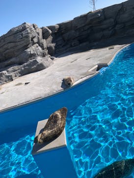 鴨川シーワールドに投稿された画像（2023/12/9）