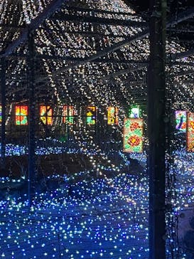 日本庭園　由志園に投稿された画像（2023/12/9）