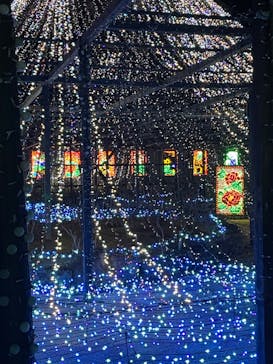 日本庭園　由志園に投稿された画像（2023/12/9）