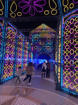 神戸イルミナージュに投稿された画像（2023/12/9）