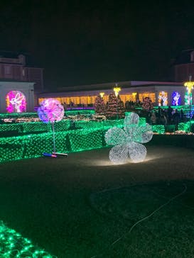 神戸イルミナージュに投稿された画像（2023/12/9）