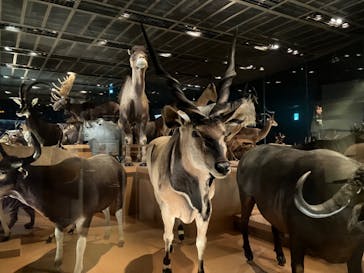 国立科学博物館に投稿された画像（2023/12/9）