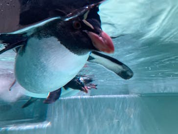 AOAO SAPPOROに投稿された画像（2023/12/9）