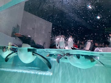 AOAO SAPPOROに投稿された画像（2023/12/9）