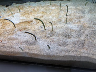 AOAO SAPPOROに投稿された画像（2023/12/9）