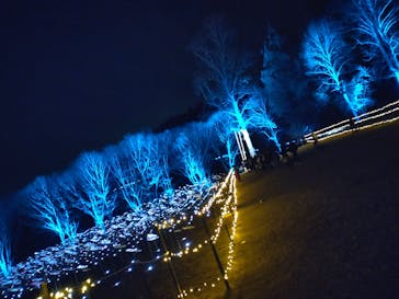 いばらきフラワーパークに投稿された画像（2023/12/9）