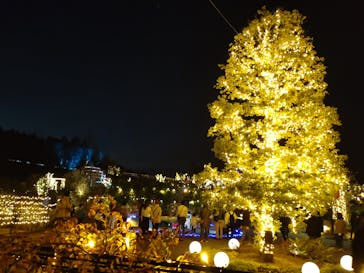 いばらきフラワーパークに投稿された画像（2023/12/9）