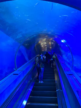 横浜・八景島シーパラダイスに投稿された画像（2023/12/9）