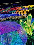 伊豆ぐらんぱる公園に投稿された画像（2023/12/9）